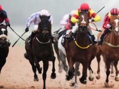 Hoy en Sky Sports Racing: acción en todo clima desde Southwell | noticias de carreras
