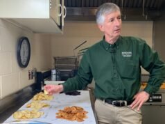 Los investigadores han pasado décadas creando mejores patatas para patatas fritas y el trabajo no ha terminado